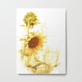 Vintage Sunflower in the Light Metal Print