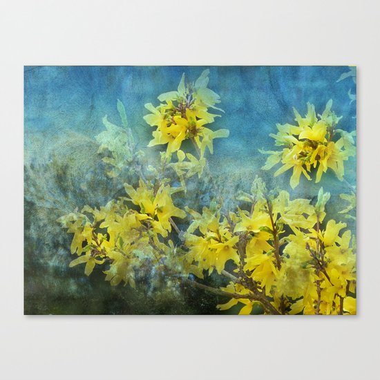 Dramatic Forsythia Canvas Print