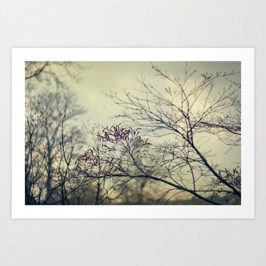 Before The Rain Art Print