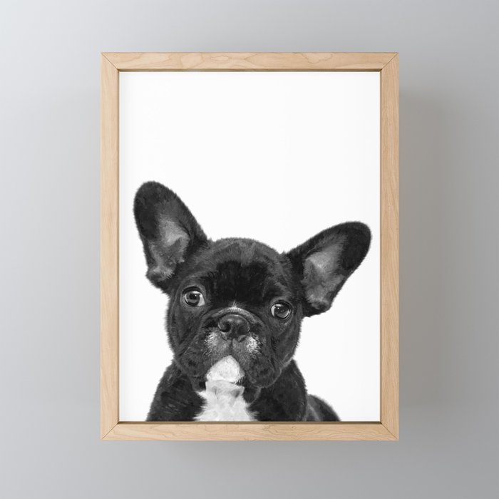 Black and White French Bulldog Framed Mini Art Print