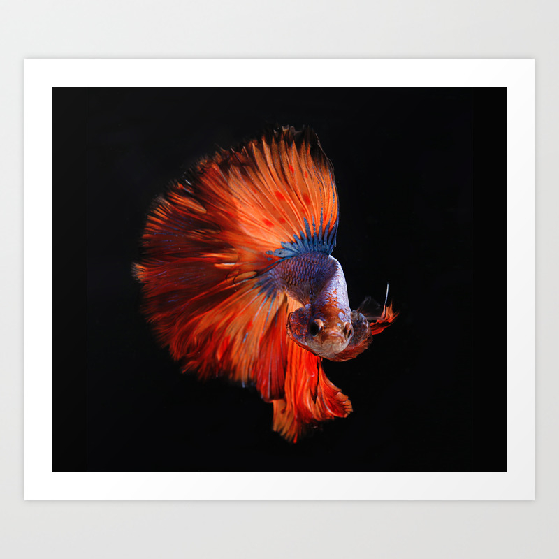 Ocean Fantasy Art Print