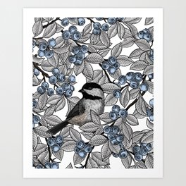 Chickadees on blueberry branches Art Print
