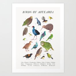 Birds of Aotearoa Art Print