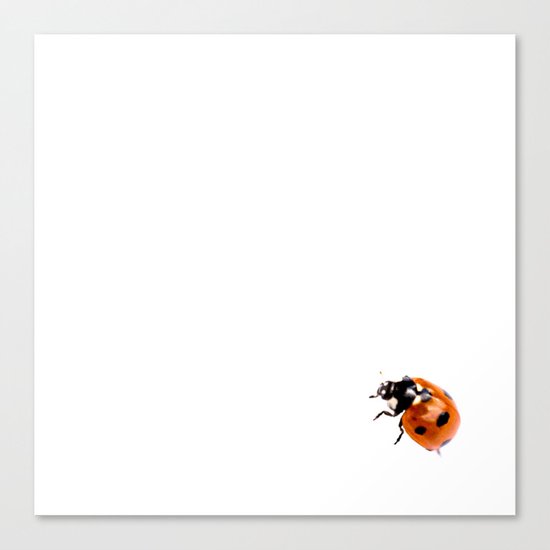 Ladybug Canvas Print