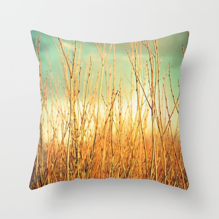 Wind in the Willows Throw Pillow