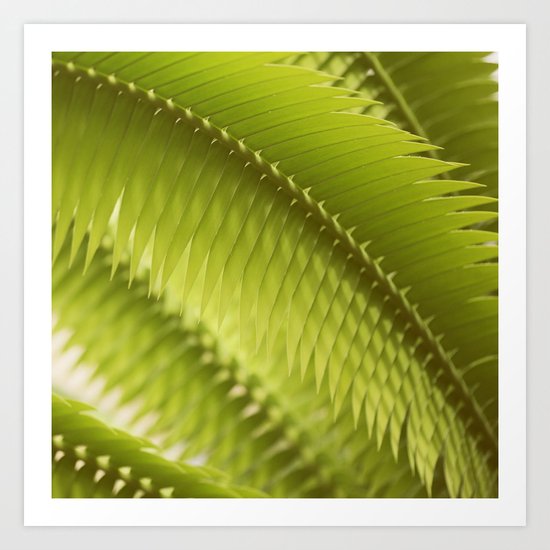 Lemon Grass Art Print