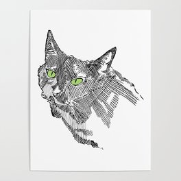 Inky Cat Green Eyes Poster