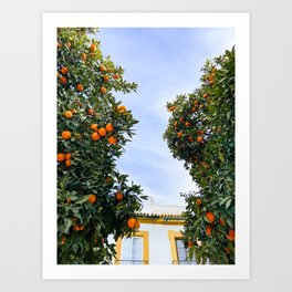 Naranjas  Art Print