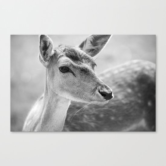 Deer Canvas Print