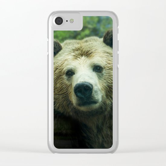 bear Clear iPhone Case