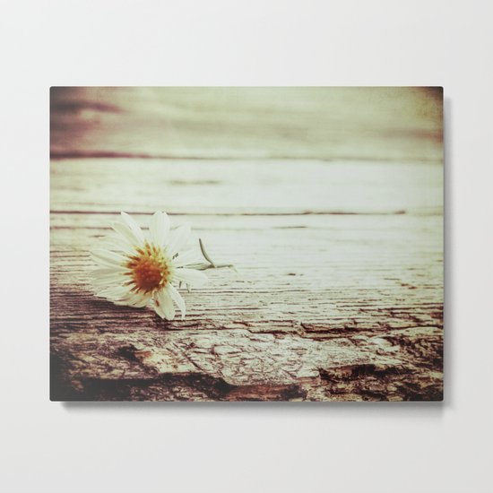 little daisy Metal Print