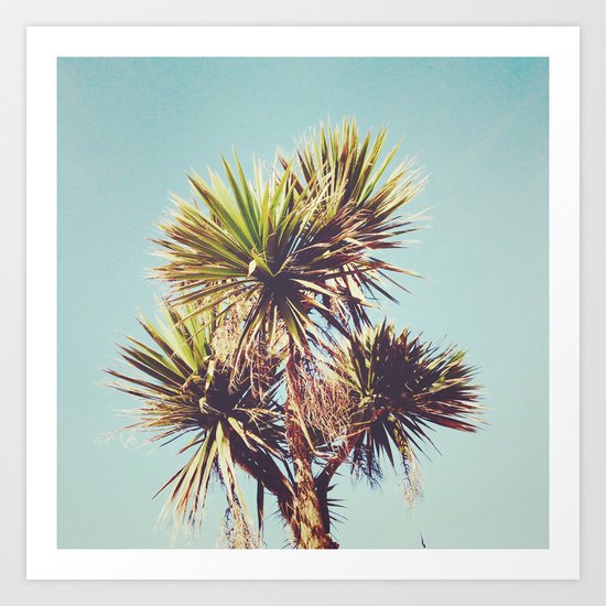 Palm Art Print