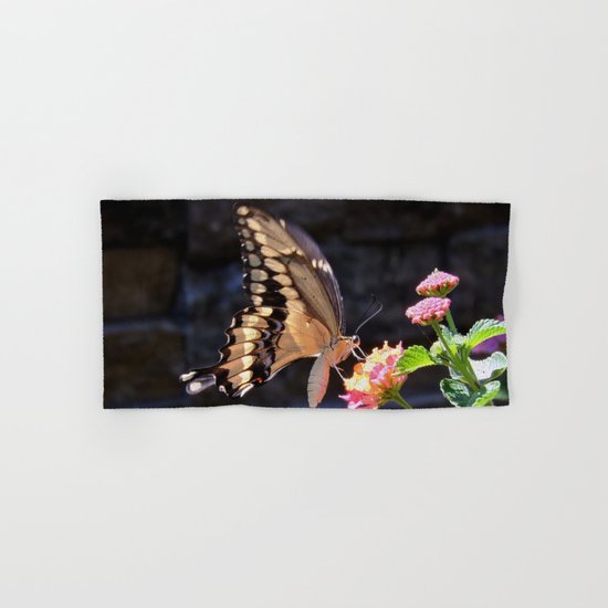 Swallowtail Overexposed Hand & Bath Towel