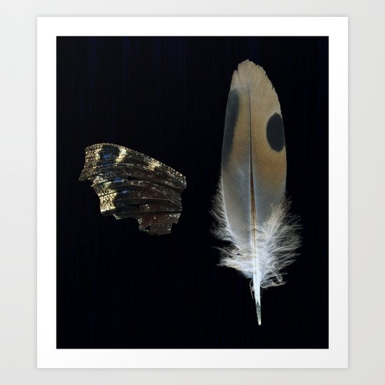 Mourning Cloak/Mourning Dove Art Print