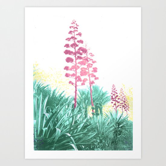 Yucca Art Print