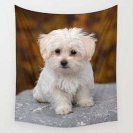 Maltese Puppy Wall Tapestry