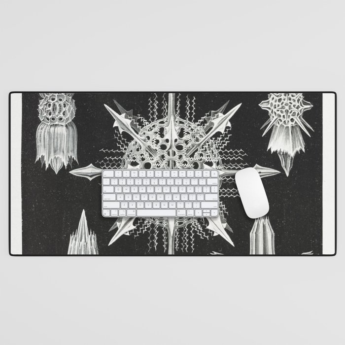 Ernst Haeckel Desk Mat