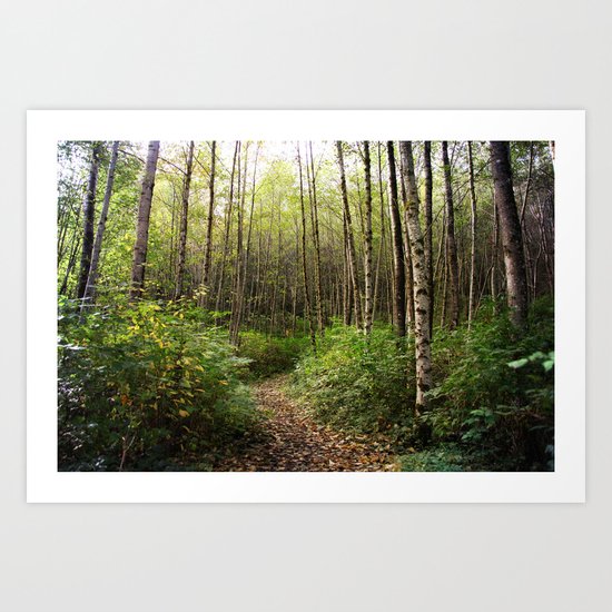 trail in the woods Art Print