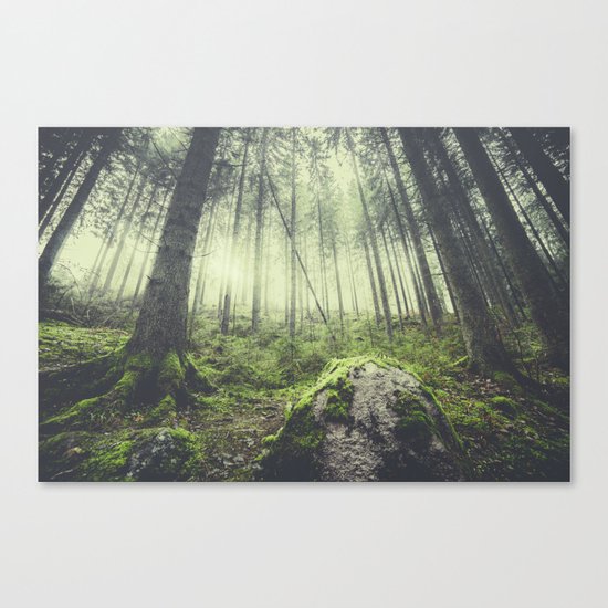 Only way is up Canvas Print