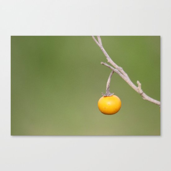 Prince of Peace Canvas Print