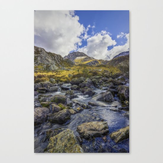 Tryfan Stream Canvas Print