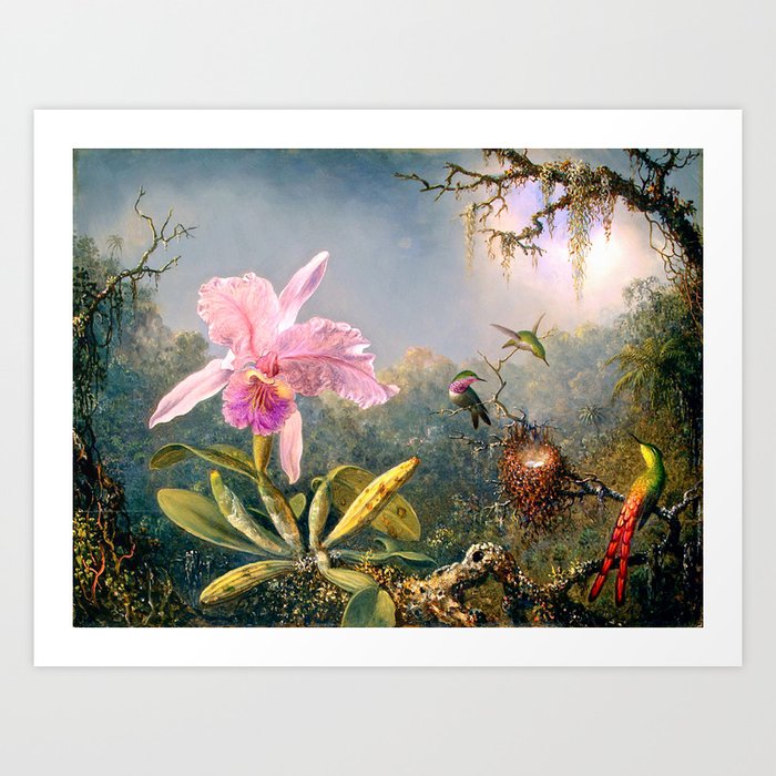 Orchid and Three Brazilian Hummingbirds by Martin Johnson Heade-Cattleya Art Print
