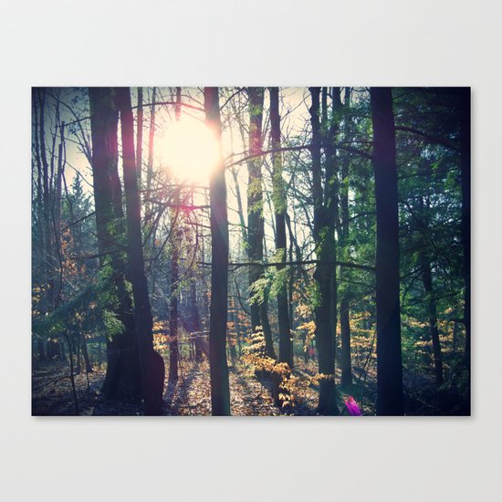 Forest Canvas Print