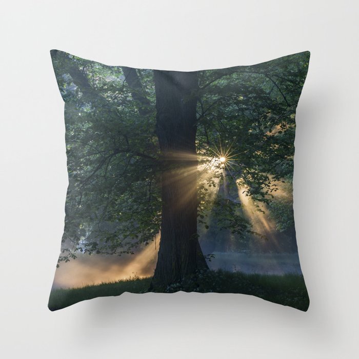 First rays Throw Pillow