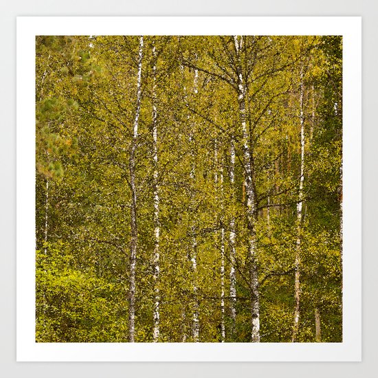 Autumn Forest Art Print