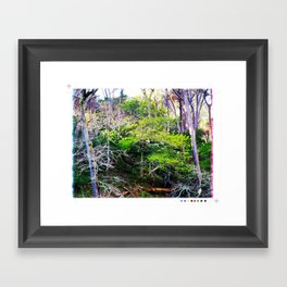 Oak Tree 1 Framed Art Print