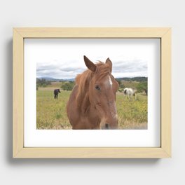 Horse Profiles Recessed Framed Print