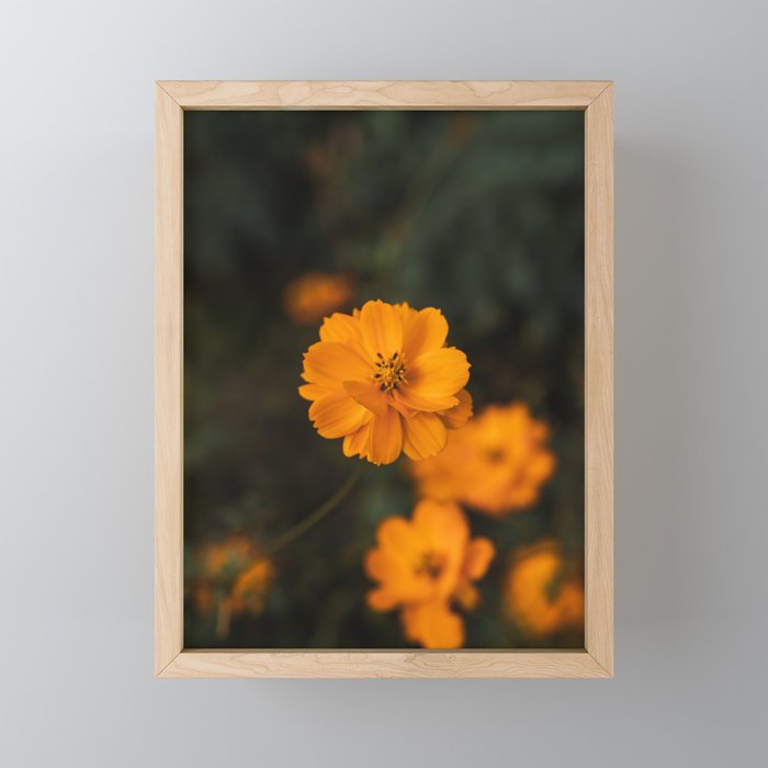 Flowers Framed Mini Art Print