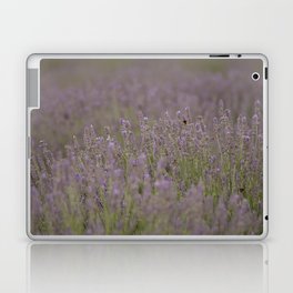 Bee In The Middle With Me Lavender Landscape Photograph Laptop Skin