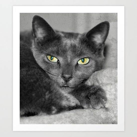 Cats Eyes Art Print