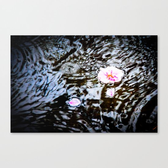 Cherry Blossoms on the Water Canvas Print