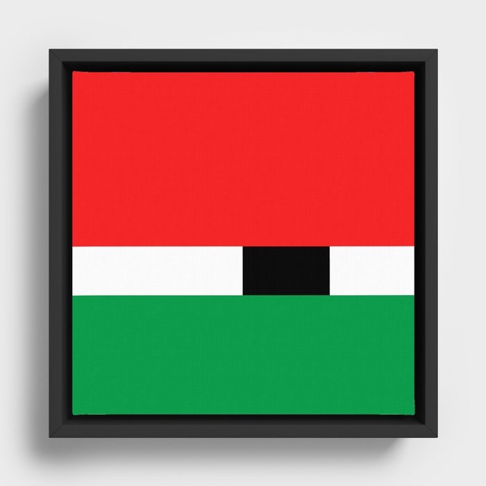 Framed Canvas