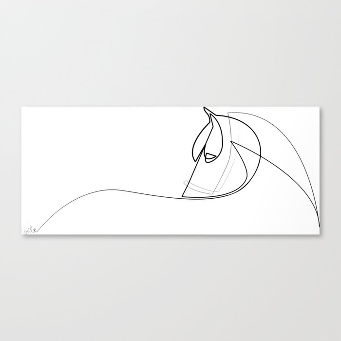 Pony line Canvas Print