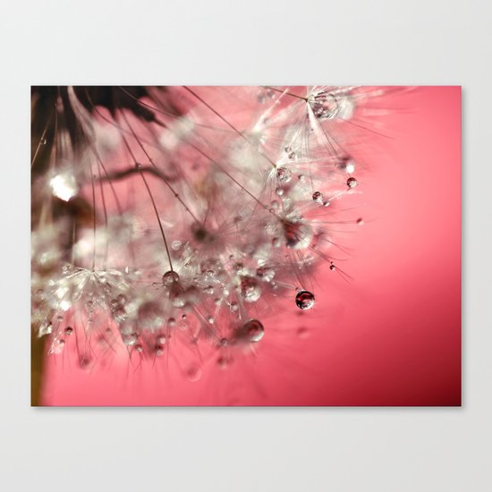 New Year's Pink Champagne Canvas Print