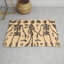 Human Bones Rugs For Any Room Or Decor Style Society6