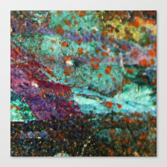 Micropic Canvas Print