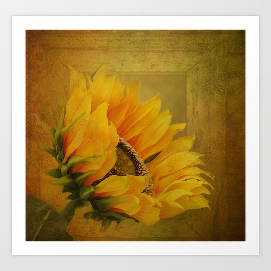 Sunflower Magic Art Print