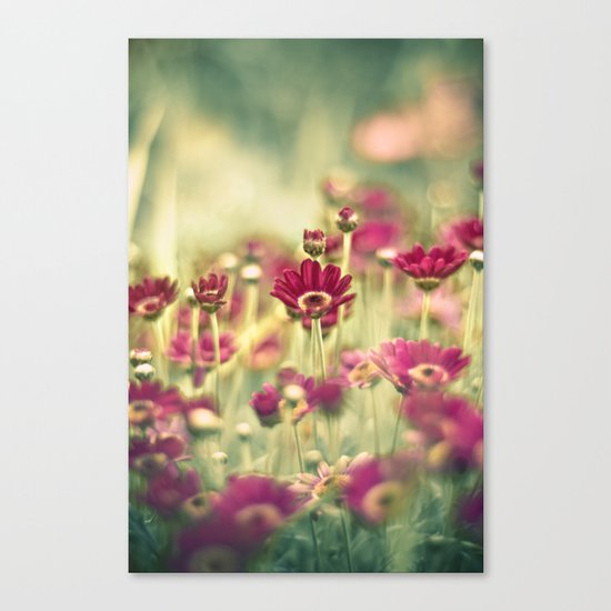 We Grew for You Canvas Print