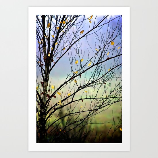 Riverbirch Art Print