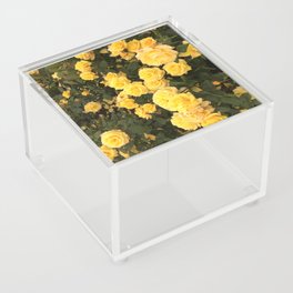 Sprinkles of Sunshine Roses Acrylic Box