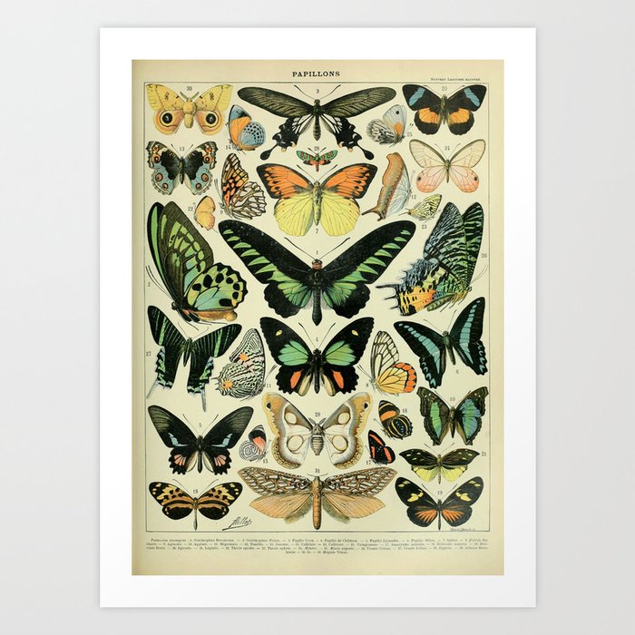 Art Print