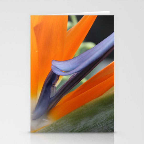 Birds of Paradise Stationery Cards