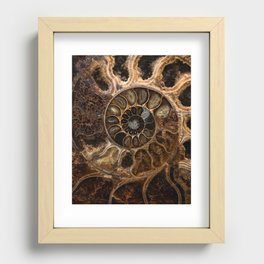 Earth treasures - Fossil in brown tones Recessed Framed Print