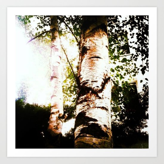 birch Art Print