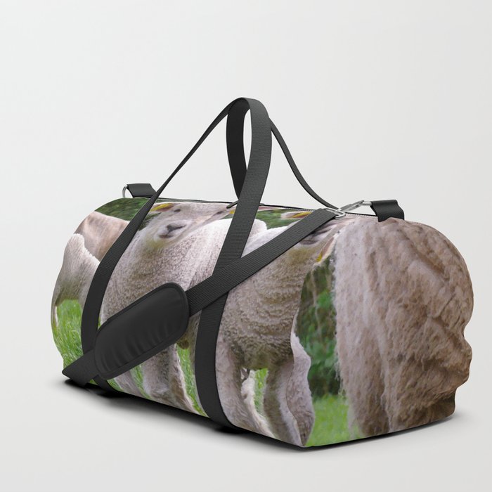 Two Cute Little Lambs Standing Next Duffle Bag