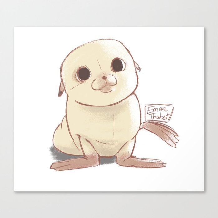 Baby Seal Canvas Print